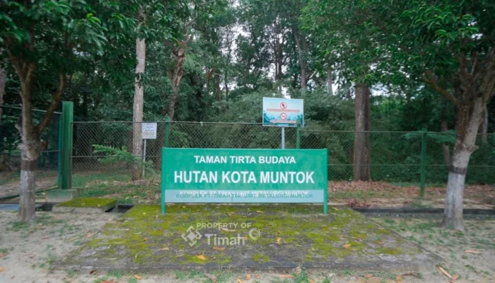 Hutan Kota Mentok, Surga Flora Fauna Endemik Karya PT Timah