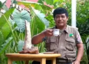 Negara Gagal Hadir, Saatnya Tambang Timah Kembali ke Rakyat