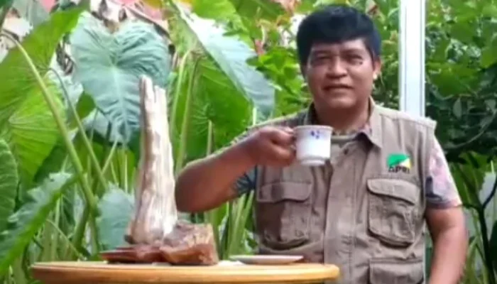 Negara Gagal Hadir, Saatnya Tambang Timah Kembali ke Rakyat