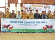 PT Timah Kembali Salurkan Hewan Kurban, Prioritaskan Zona Stunting di 12 Desa