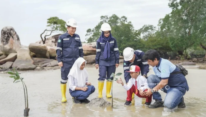 PT Timah Reklamasi Darat dan Laut 3.222.28 Hektare Periode 2015–2024