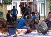 Pemkab Bangka Sembelih 10 Sapi Qurban, Prioritaskan Honorer dan Warga