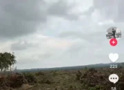 Jeritan Warga  Desa Tanjung Labu Viral di TikTok, Hutan Diduga Digasak Perusahaan