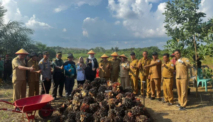 Panen Perdana Sawit Desa Nyelanding, Bukti Nyata Program Prioritas Riza–Debby