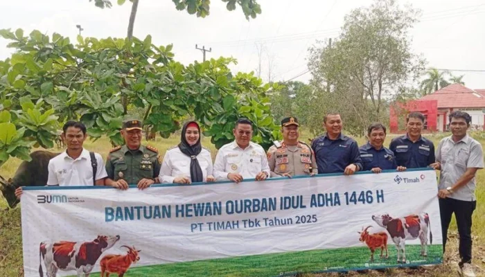 75 Sapi Kurban Disalurkan, Pemkab Basel Gandeng Perusahaan