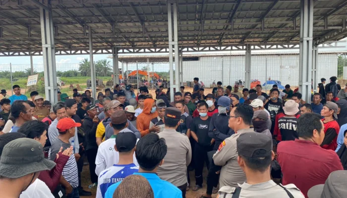 Warga Desa Tanjung Labu Geruduk Perkebunan PT SNS, Tuntut Aktivitas Dihentikan