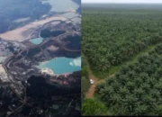 Dua Sektor Masih Perkasa: Tambang dan Sawit Jadi Tulang Punggung Ekonomi Bangka Selatan
