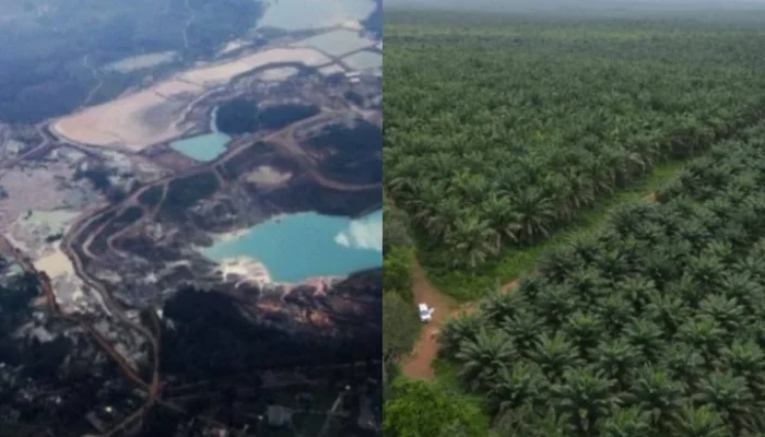 Dua Sektor Masih Perkasa: Tambang dan Sawit Jadi Tulang Punggung Ekonomi Bangka Selatan