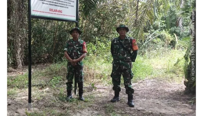 Ribuan Hektar Perkebunan Sawit Ilegal Milik Pengusaha Belitung Dieksekusi Satgas PKH