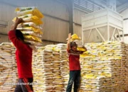 Bulog Kecipratan Rp164,4 Triliun RAPBN 2026: Serap 3 Juta Ton Beras dan Ketahanan Pangan