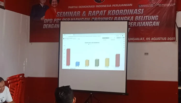 Pilkada Ulang Bangka, Fery Insani–Syahbudin Unggul Sementara dengan 42,15 Persen Suara