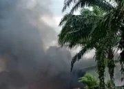 Pemicu Amarah Warga Lepar: PT SNS Diduga Ingkar Janji Perluasan Lahan