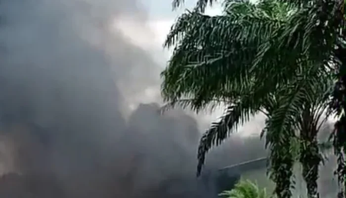 Pemicu Amarah Warga Lepar: PT SNS Diduga Ingkar Janji Perluasan Lahan