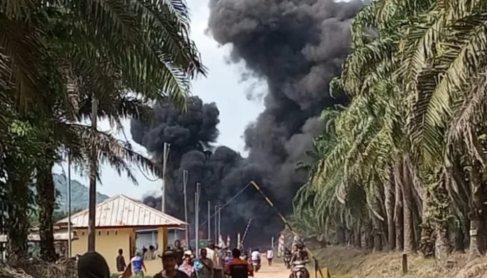 Warga Lepar Desak Kejelasan Status Lahan HGU PT SNS dan Lahan Petani, BPN Diminta Ukur Ulang