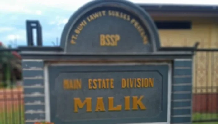 PT BSSP Diduga Manipulasi Kebun Plasma di Desa Malik, Warga Tuntut Keadilan!