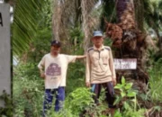 Hak Plasma Terabaikan, Masyarakat Bangka Selatan Pertanyakan Komitmen Perusahaan Perkebunan?