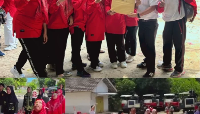 DPPP Basel Menyala! Wujud Kekompakan di Lingkungan Kerja Rayakan HUT RI ke-80
