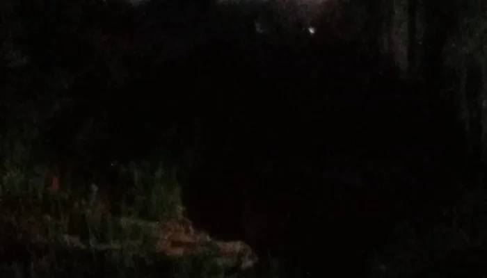 Tambang Timah Ilegal Nekat Beroperasi Malam Hari di Kawasan GOR Sahabudin