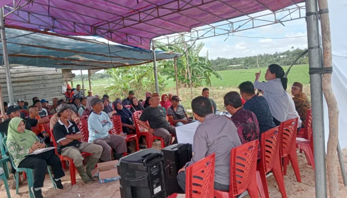 Dua Anggota DPRD Babel Serap Aspirasi Petani Serdang, Minta Perluasan Sawah dan Perbaikan Irigasi