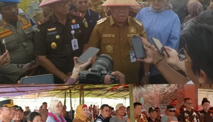 Gubernur Babel dan Kajati Babel Hadiri Panen Raya Bukit Terap, Hasilkan 3,5 Ton Gabah
