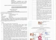 Aktivis Desak BAWASLU RI Usut Dugaan Kecurangan Pilkada Ulang Bangka 2025