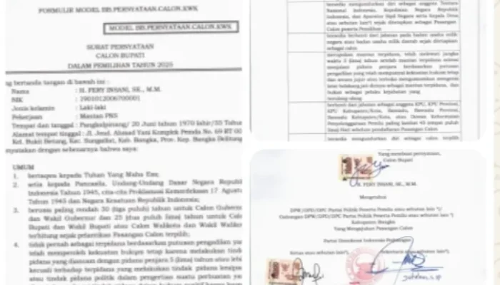 Aktivis Desak BAWASLU RI Usut Dugaan Kecurangan Pilkada Ulang Bangka 2025