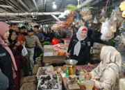 Wabup Debby Tinjau Harga dan Stok Bahan Pokok di Pasar Toboali