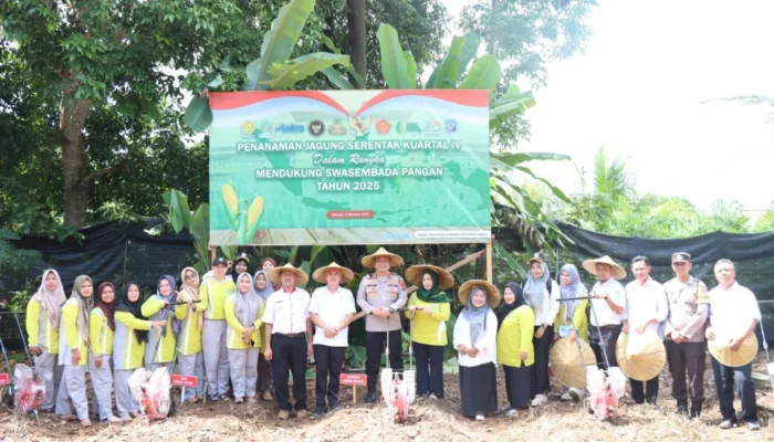 Pemkab Bangka Selatan Tanam Jagung Serentak Dorong Ketahanan Pangan Nasional