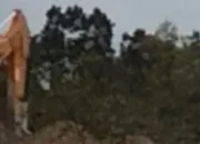 Diduga Dibekingi Oknum Loreng, Tambang Ilegal Milik Ajon di Desa Perlang Kebal Hukum!