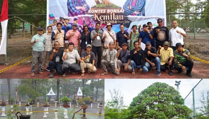 Ratusan Bonsai Hiasi Sport Center, PPBI Bangka Selatan Dorong Pameran Bonsai Jadi Agenda Nasional