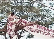 Ribuan Aksi Massa Tuntut Keadilan di Kantor PT Timah, Demonstran Nekat Panjat Pohon dan Gas Air Mata Meletus