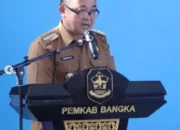 Digitalisasi Pajak dan Keuangan, Pemkab Bangka Luncurkan Aplikasi SEDULANG dan Kartu Kredit Pemerintah Daerah