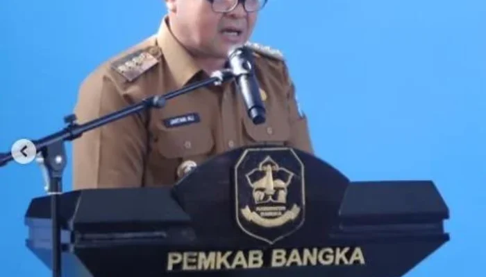 Digitalisasi Pajak dan Keuangan, Pemkab Bangka Luncurkan Aplikasi SEDULANG dan Kartu Kredit Pemerintah Daerah