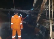 Breaking News: Kebakaran Toko Daging di Pasar Lama Toboali