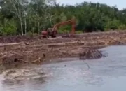 Mangrove Dikeruk Diduga Jadi Sawit, Kades Kumbung Akui Sudah Hubungi PT SNS