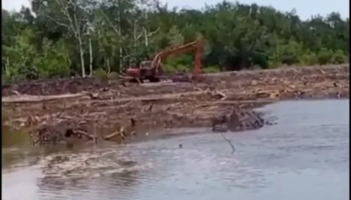 Mangrove Dikeruk Diduga Jadi Sawit, Kades Kumbung Akui Sudah Hubungi PT SNS