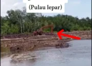 Viral! Hutan Mangrove Tumbuh Sawit, Warga Desa Kumbung Lepar Menjerit