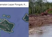 Mangrove Desa Kumbung Diduga Dirusak Alat Berat, Perusahaan Berdalih Perbaikan Tanggul