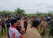 Pengawasan Diperketat, DPPP Basel Tindak Dugaan Alih Fungsi Lahan Desa Serdang