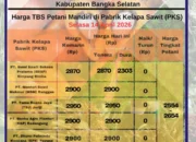 Harga TBS Bangka Selatan Tak Bergerak, Berbeda dengan Hasil Kesepakatan