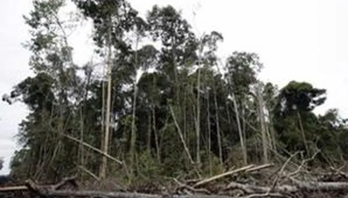 Pergam Selalu Berkonflik, Ada Apa dengan Desa Ini?