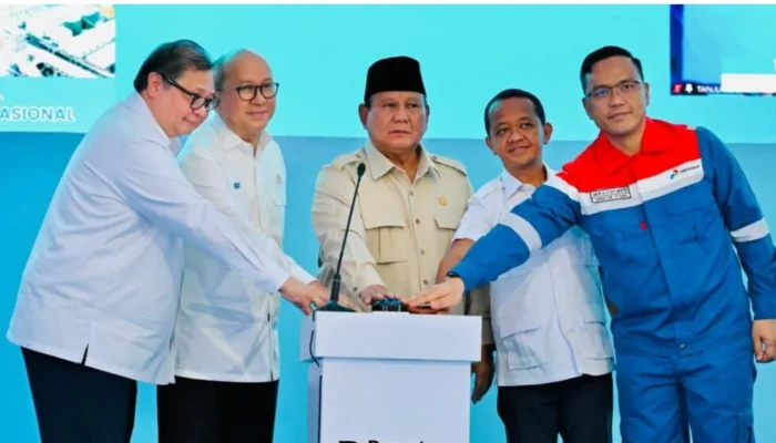 Ini  Daftar 13 Proyek Hilirisasi  Raksasa Tahap II Presiden Prabowo Senilai Rp116 Triliun