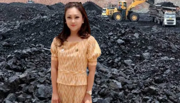 Dugaan Upeti, Ratu Tambang Batu Bara Tan Paulin Kembali Disorot
