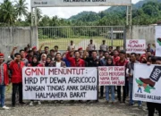 DPD GMNI Maluku Utara Soroti Rekrutmen PT Dewa Coco: Warga Lokal Justru Terpinggirkan