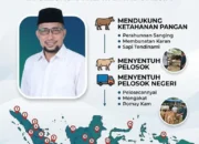 Haidar Alwi Institute Tebar 150 Sapi Kurban, Sandri Rumanama: Menyentuh Hingga Pelosok Negeri