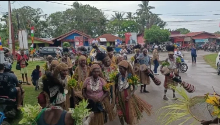 Tanah Papua Selatan di Tengah Sorotan: Dugaan Eksploitasi Hutan Adat, PSN hingga Konflik Lahan