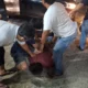 Satreskrim Polres Bangka Sergap Pelaku Pencurian Kotak Amal Kelenteng, Beraksi di Sejumlah Lokasi