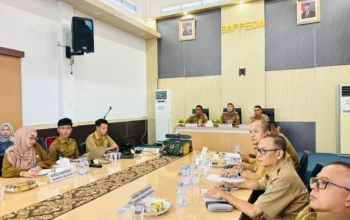Wabup Debby Ikuti RDP Komisi II DPR RI, Soroti PPPK hingga Optimalisasi PAD