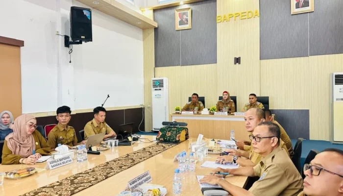 Wabup Debby Ikuti RDP Komisi II DPR RI, Soroti PPPK hingga Optimalisasi PAD