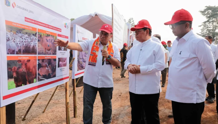 Gubernur DKI Tinjau Proyek Peternakan Sapi Terintegrasi Ciangir, Perumda Dharma Jaya Perkuat Ketahanan Pangan dan Pasokan Daging Jakarta